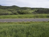 Mountain Road in California: Scenic Beauty in Nature's Playground