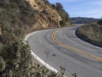 a curve road with trees, shrubs and rocks on both sides and one of the sides is slightly sloped