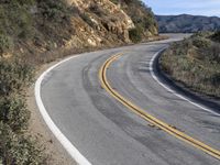 a curve road with trees, shrubs and rocks on both sides and one of the sides is slightly sloped