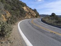 a curve road with trees, shrubs and rocks on both sides and one of the sides is slightly sloped