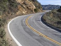 a curve road with trees, shrubs and rocks on both sides and one of the sides is slightly sloped