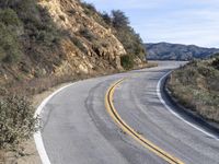 a curve road with trees, shrubs and rocks on both sides and one of the sides is slightly sloped