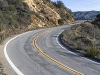 a curve road with trees, shrubs and rocks on both sides and one of the sides is slightly sloped