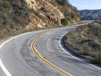 a curve road with trees, shrubs and rocks on both sides and one of the sides is slightly sloped