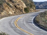 a curve road with trees, shrubs and rocks on both sides and one of the sides is slightly sloped