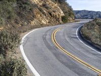 a curve road with trees, shrubs and rocks on both sides and one of the sides is slightly sloped