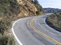 a curve road with trees, shrubs and rocks on both sides and one of the sides is slightly sloped