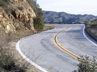 a curve road with trees, shrubs and rocks on both sides and one of the sides is slightly sloped