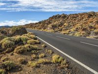 Mountain Road in the Canary Islands: Embracing the Slopes of Nature