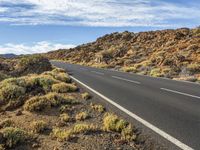 Mountain Road in the Canary Islands: Embracing the Slopes of Nature