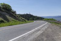 Mountain Road in Colorado: Asphalt and Beautiful Vegetation