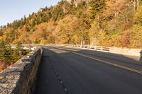 a scenic view of a bridge across a valley near trees and rocks on the side of the road