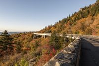 a scenic view of a bridge across a valley near trees and rocks on the side of the road