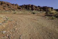 a desert area with sparse vegetation and rocks in the background and an out of focus mountain