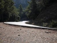 Mountain Road: Winding Through Nature