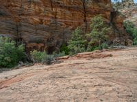 Mountain Road in Zion National Park: A Scenic Drive