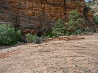 Mountain Road in Zion National Park: A Scenic Drive