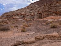 Mountain Terrain Profile: Wood and Rock Wall Formation