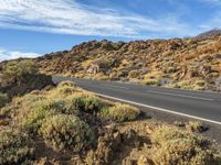 the road is winding and winding in some mountains with rocks, shrubs and plants on both sides