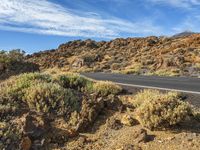 the road is winding and winding in some mountains with rocks, shrubs and plants on both sides