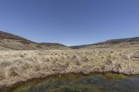 a landscape with dry grass and water on the ground of the mountain top in front of the water