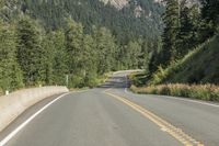 a road lined with trees and mountains in the background has two yellow lines on one end that lead into a tunnel