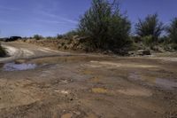 a muddy road with two trucks driving down it next to some bushes and water puddles