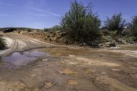 a muddy road with two trucks driving down it next to some bushes and water puddles