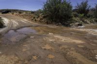 a muddy road with two trucks driving down it next to some bushes and water puddles