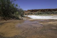 a muddy stream with some bushes on the side and rocks in the background and a rock wall