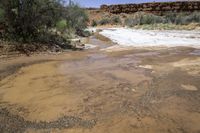 a muddy stream with some bushes on the side and rocks in the background and a rock wall