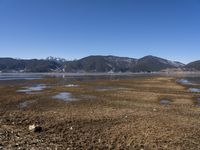 the water is muddy and brown near a field of grass and bushes with snow covered mountains in the background