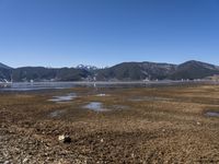 the water is muddy and brown near a field of grass and bushes with snow covered mountains in the background