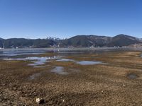 the water is muddy and brown near a field of grass and bushes with snow covered mountains in the background