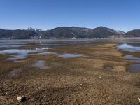 the water is muddy and brown near a field of grass and bushes with snow covered mountains in the background