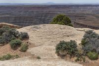 Muley Point Overlook: Utah's Bluff overlooking Canyons