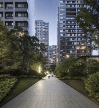 a path with trees and some buildings in the background at dusk in an urban park