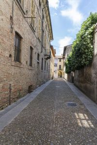 a narrow cobblestone street with old buildings in background and trees in the foreground