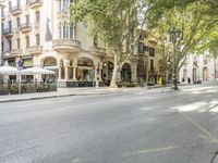 a narrow city street lined with tall trees and restaurants in an upscale area in the background