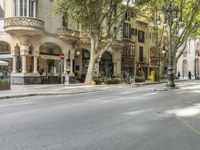 a narrow city street lined with tall trees and restaurants in an upscale area in the background