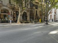 a narrow city street lined with tall trees and restaurants in an upscale area in the background