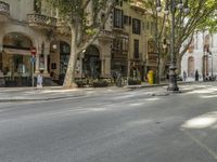 a narrow city street lined with tall trees and restaurants in an upscale area in the background