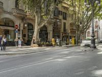 a narrow city street lined with tall trees and restaurants in an upscale area in the background