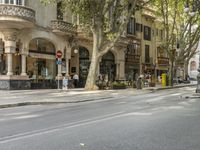 a narrow city street lined with tall trees and restaurants in an upscale area in the background