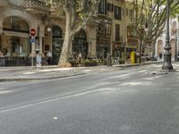 a narrow city street lined with tall trees and restaurants in an upscale area in the background