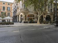 a narrow city street lined with tall trees and restaurants in an upscale area in the background