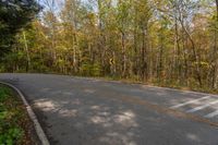 the road is narrow and winding, with no traffic to turn at any time at this point