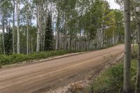 Exploring the Natural Environment of Colorado: A Landscape With Trees