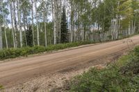 Exploring the Natural Environment of Colorado: A Landscape With Trees