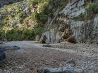 Natural Landscape in Majorca, Spain